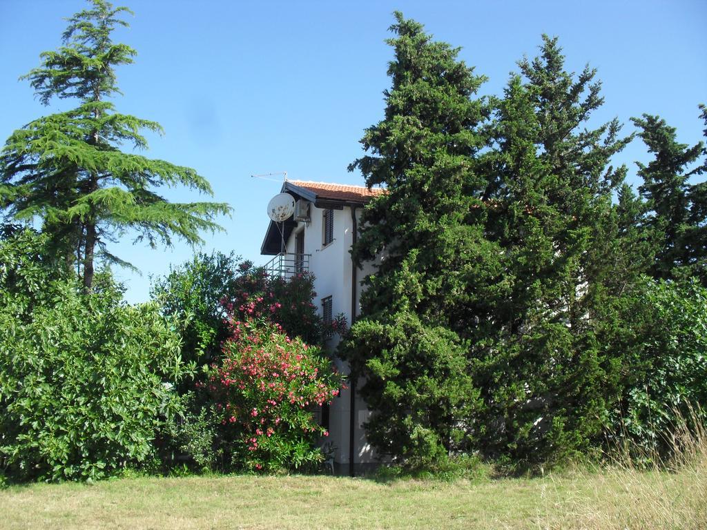 Apartment Lana Privlaka  Luaran gambar