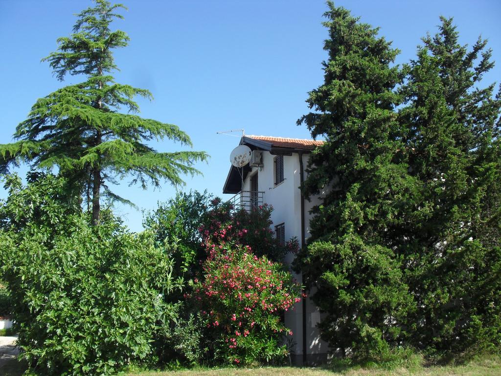 Apartment Lana Privlaka  Luaran gambar